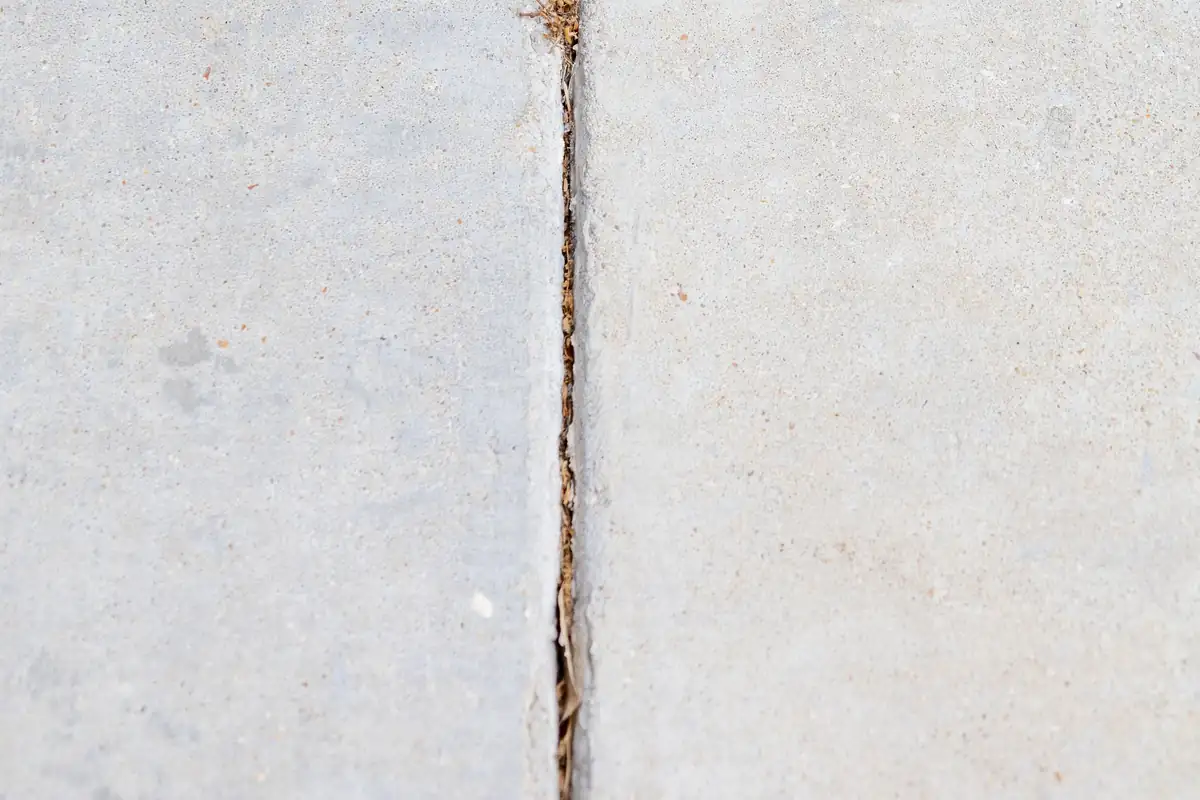 Separated joint between two concrete sidewalk panels with dirt and debris packed into the gap